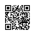 97742-52160 SPOKE B (9X160.0)