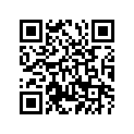 985-17081-20-00 Bolt