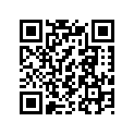 99011-04493-28B 