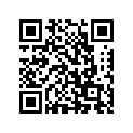 99011-13G64-01K 