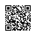 99011-17G63-01K 