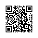 99011-17H61-01H 