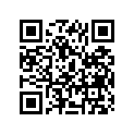 99011-17H61-029 