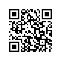 99011-17H72-03A 