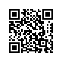 99011-17H80-01K 