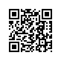 99011-17H80-029 