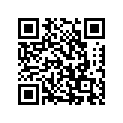 99011-17H82-01K 