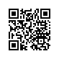 99101-166-1150 Чехол для инструментов