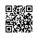 991013931220 Чехол для инструментов