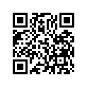 991013931320 Чехол для инструментов