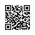 99103-MT2-0480 JET,SLOW,#48