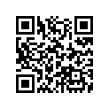 99108-KSE-0480 JET, LEAK (#48)