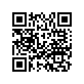 99113-GHB-1580 Чехол для инструментов