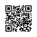 99124-041-0381 Jet,slow.#38