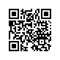 99124-089-0380 Jet,slow #38