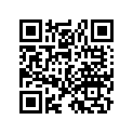 99124-217-0381 Jet slow #38