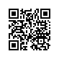 99164-601-0980 Жиклер стартера