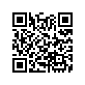 99164-601-1100 Jet,#110