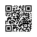999-99033-01-00 Переднее крыло set