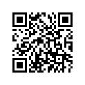 999-99034-05-00 Крыло Заднее