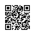 999-99037-90-00 Переднее крыло set