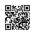 99903-0024-01 A&p manual,dutch