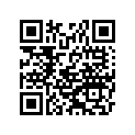 99924-1132-55 S/M KX500