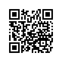 99924-1265-09 S/M KX85A/100D