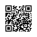 99931-1324-52 A&amp;p klx300r