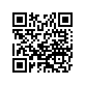 99946-1066-01 A&amp;p manual,german