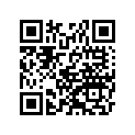 99955-1041-01 Service manual,italian