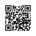 99955-1041-02 Service manual,italian