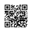 99955-1048-04 Service manual,italian