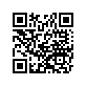 99955-1053-01 Service manual,italian