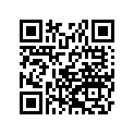 99955-1066-02 Service manual,italian