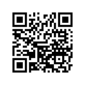 99994-0393-816 キツト.シングル シ-ト.キャンディ