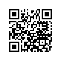99994-1385 ﾌﾛﾝﾄ ｱｸｽﾙ ﾌﾟﾛﾃｸﾀ