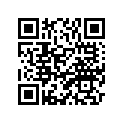 9X110-182R6-00 Tire(100/90-18 Nr28)
