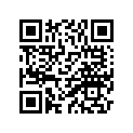 9Y580-40105-00 CHAIN 520VC-106L