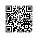 A14401133000 CAM CHAIN