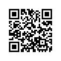 A17371175000 Clip
