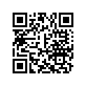 A17411179000 Boyau       *hose