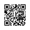 A40532145000 Chain Link