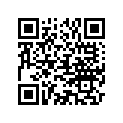 A524391 DECAL, LEG - PORT