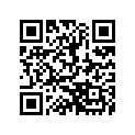 A578392 DECAL, LEG - PORT