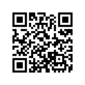 A90667179000 Clip           *clip