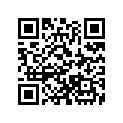 A90668179000 RUBBER STRAP
