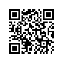 A91325152000 OIL RING