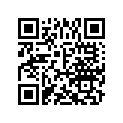 A941011321040 Plain Washer