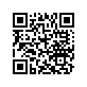 A941011629030 Plain Washer